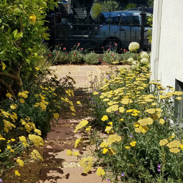 Drought-Tolerant Garden Design