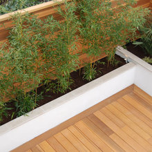 Garden Ideas
