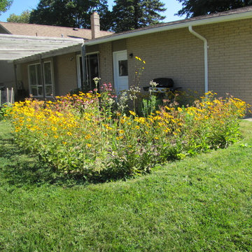 Compilation of Rain Garden Projects
