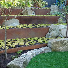 Backyard ideas