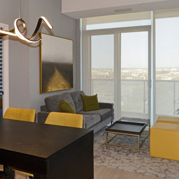 Roller Shades