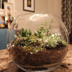 DIY - Plants