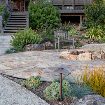 Amazing Berkeley Back Yard