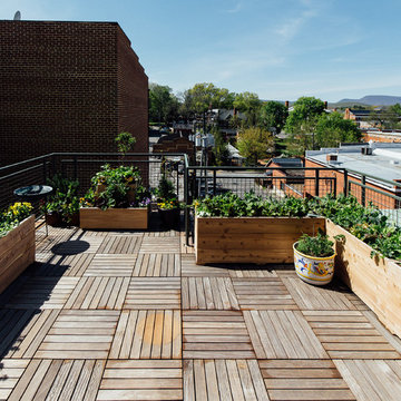 Lexington Lofts and Rooftop Terraces