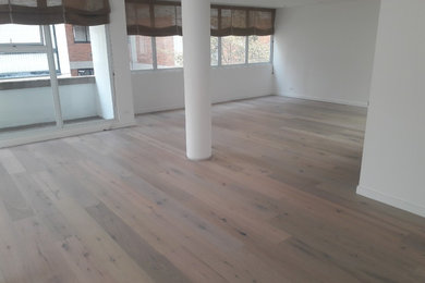Living room - contemporary light wood floor and beige floor living room idea in Other