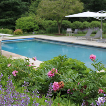 Westport, CT Landscape Maintenance