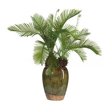 Plants