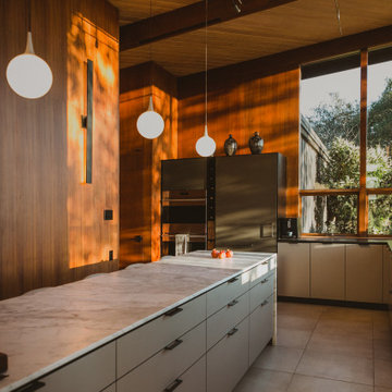 Healdsburg Hills Midcentury Modern