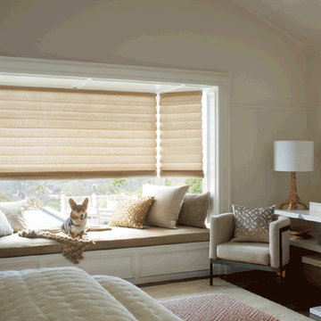 Pet-Safe Blinds & Shades