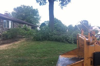 Parkesburg Tree Removal