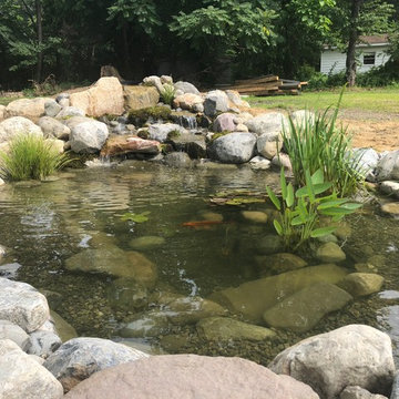 11x16 Ecostystem Pond