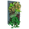 Grovert Wall Planter Frame Kit, Black