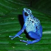 Phyllis Wells's photo