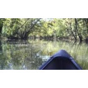 David Baldwin's photo