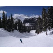 Dee Dee Cartinelli's photo