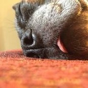 Kristen Hassell's photo