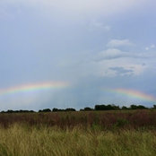 Elle Reed's photo