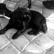 Alyson Boyd's photo