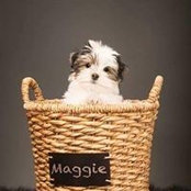 Elaine Slipetz's photo