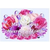 Pam Moffit's photo