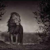Robert Wilcox's photo