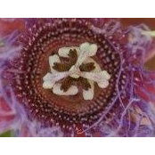Misha Gutierrez's photo