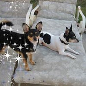 Julie Ontiveros's photo