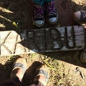 Danielle Barradas's photo