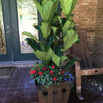 Container Gardening