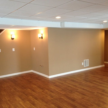 Geneva Basement Remodel