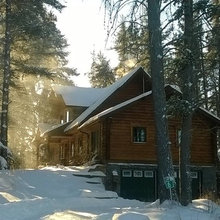 cabin in the woods