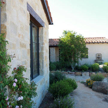 Santa Ynez Vineyard