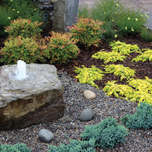 garden front yard