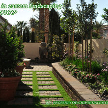 Landscape Ideas