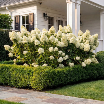 Hydrangea and boxwood front yard landscape design in Atherton, California