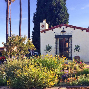 Vivacious Mediterranean Front Yard