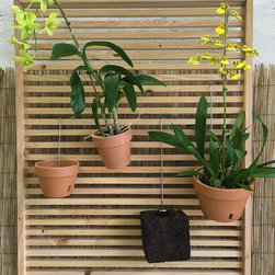 Cypress Hanging Board - Planter Hardware And Accessories