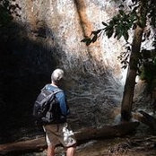 Larry Tierney's photo