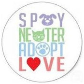 Kaitlin Evony's photo