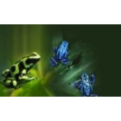 Retta Mallary's photo