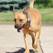 Teri Groth's photo