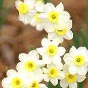 Mahboobeh Salimi's photo