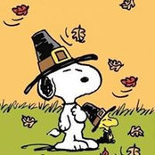 Tracy Daugherty-Aber's photo
