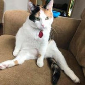 Bridget Kudrle's photo