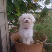 Darla Ellsworth's photo