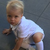 Laura Wachter's photo