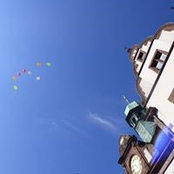 Kathrin Gut's photo