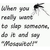 Susie Perry's photo