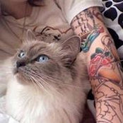 Layal Dargham's photo