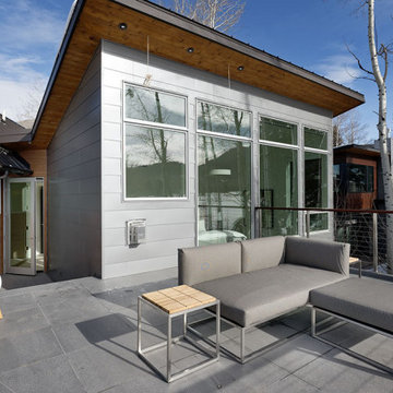 Aspen Contemporary - New Construction